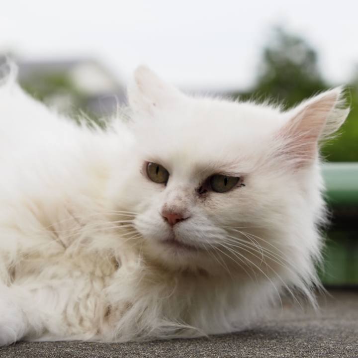 Cb44cda9 782e 4e74 a546 4d24b64b99de 1624694683431