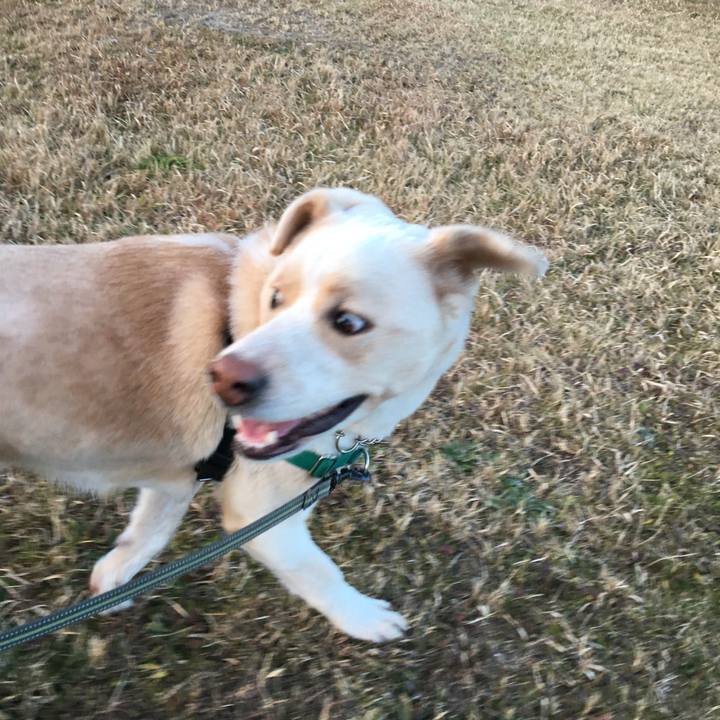 Cb44ce39 8bef 42d4 90ec 65733fdcc11b 1515928592859