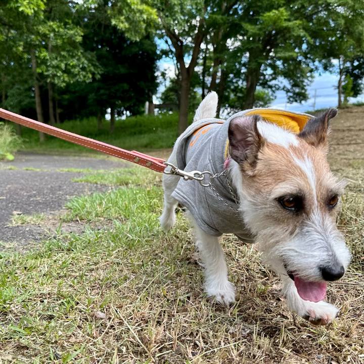 Cb450c51 cb10 4b59 a837 3d67fc7a3570 1686990281865