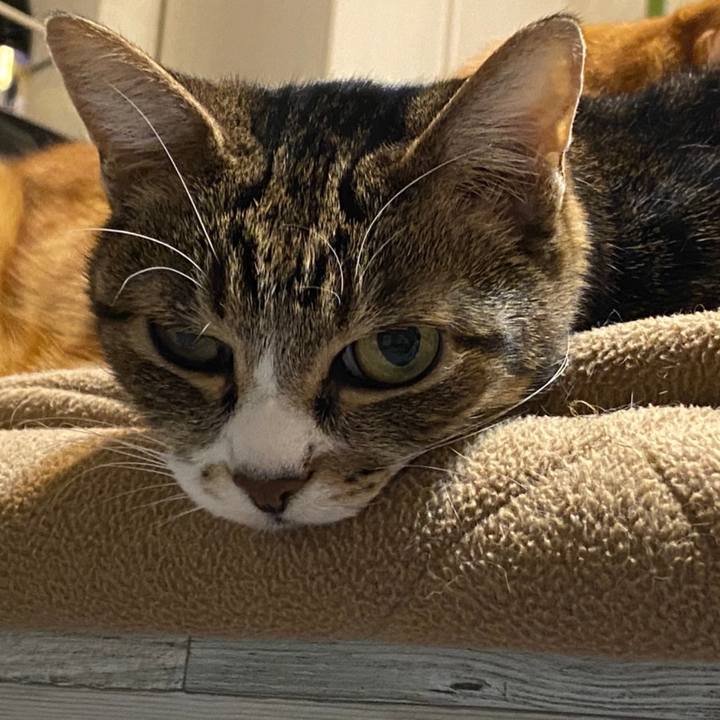 Cb452ba2 4273 4d63 8d9a 54d65650080d 1612369269916