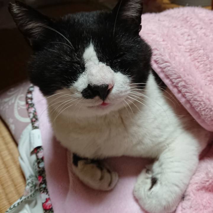 Cb458c7d 9fea 4b09 95b1 122bf267e4ed 1634719803025