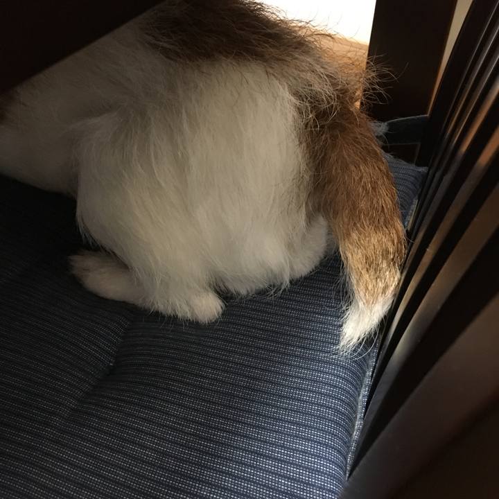 Cb45a910 2a12 499a b529 a091210f52d1 1563148941570