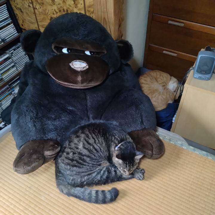 Cb45c670 cc6b 492f a732 65db2e037d7a 1694215326570