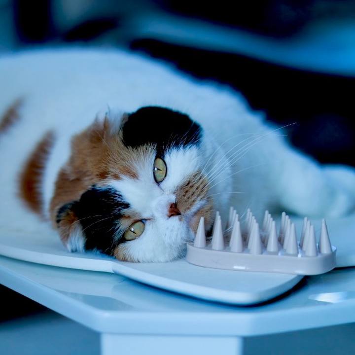 Cb46291b d0ae 4fd1 b48c e44f755c0212 1678857413914