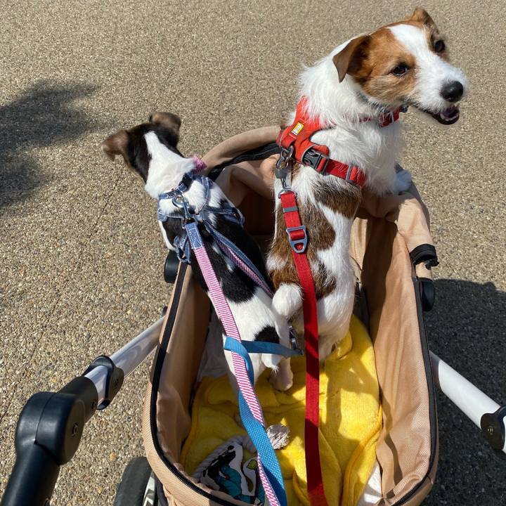 Cb462edb 1ffb 4706 974f c11f9abaa4c3 1743929248254