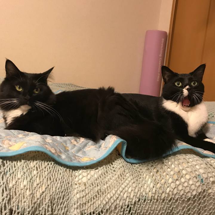 Cb46556b 50b0 4580 99eb 4195026088fc 1533166097838