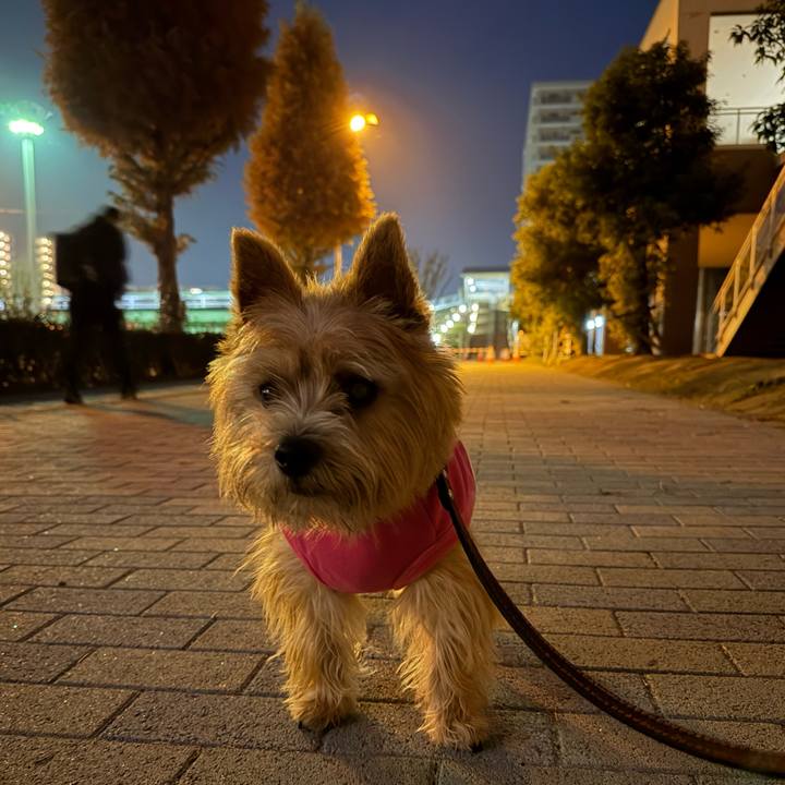 Cb465860 9889 4850 91db 4aa22be370f4 1764750811426