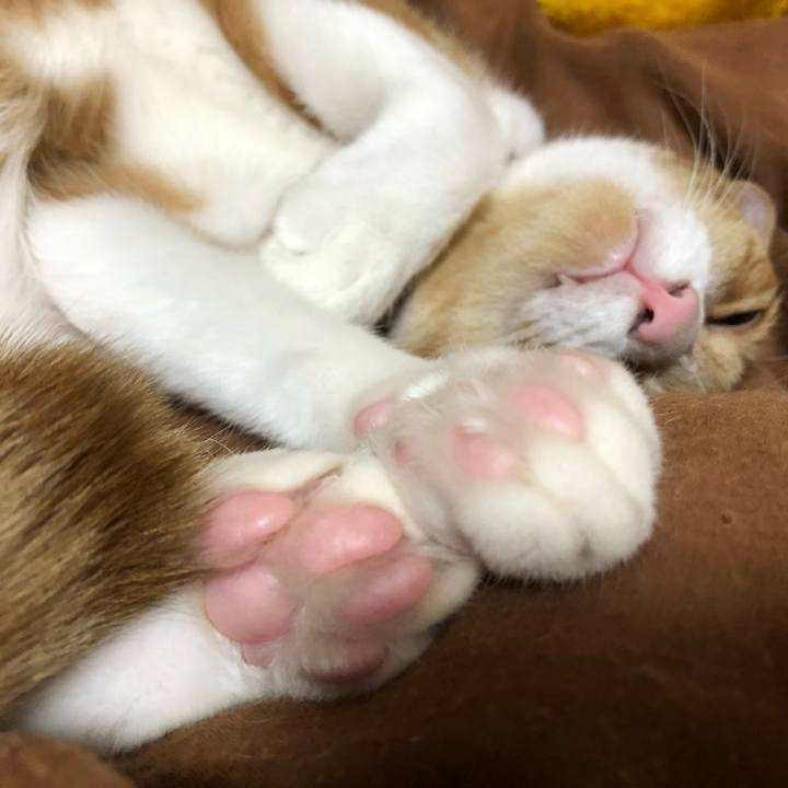 Cb465a7e cdd6 4dfa a3c2 8d36c44642e7 1569599801940