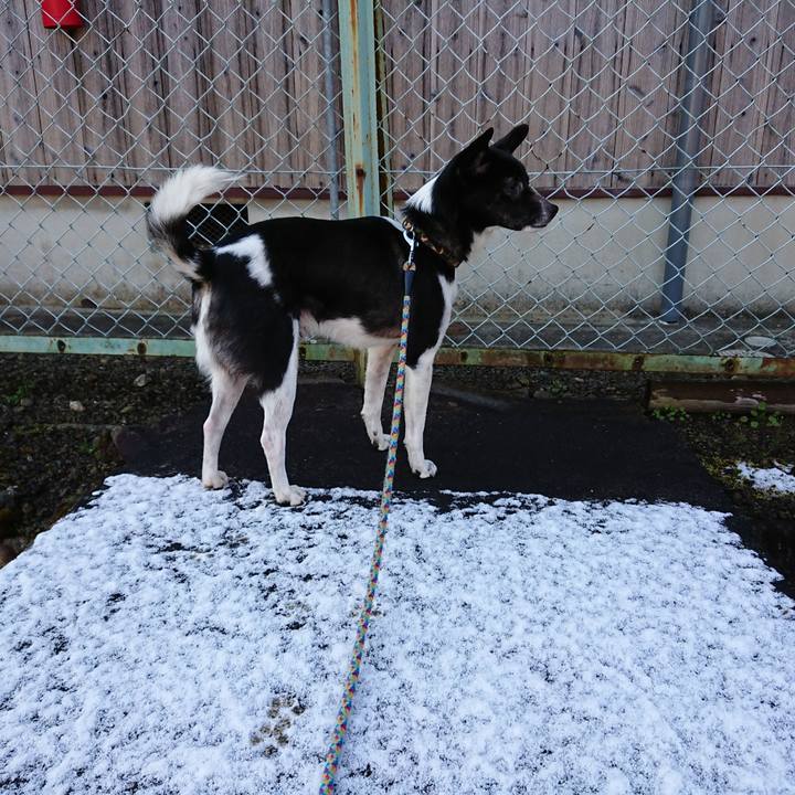 Cb466ca6 2133 487d b5cb c8ce756e2352 1554248072968