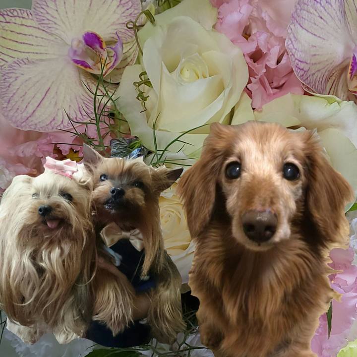 Cb469c79 576e 472c 8d57 9b472415f0d5 1571616870106