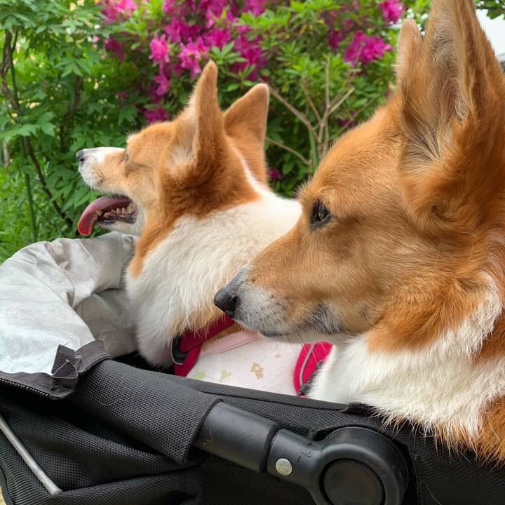 Cb470dc0 2e55 4fd6 8d78 dff9c1080841 1620178791167