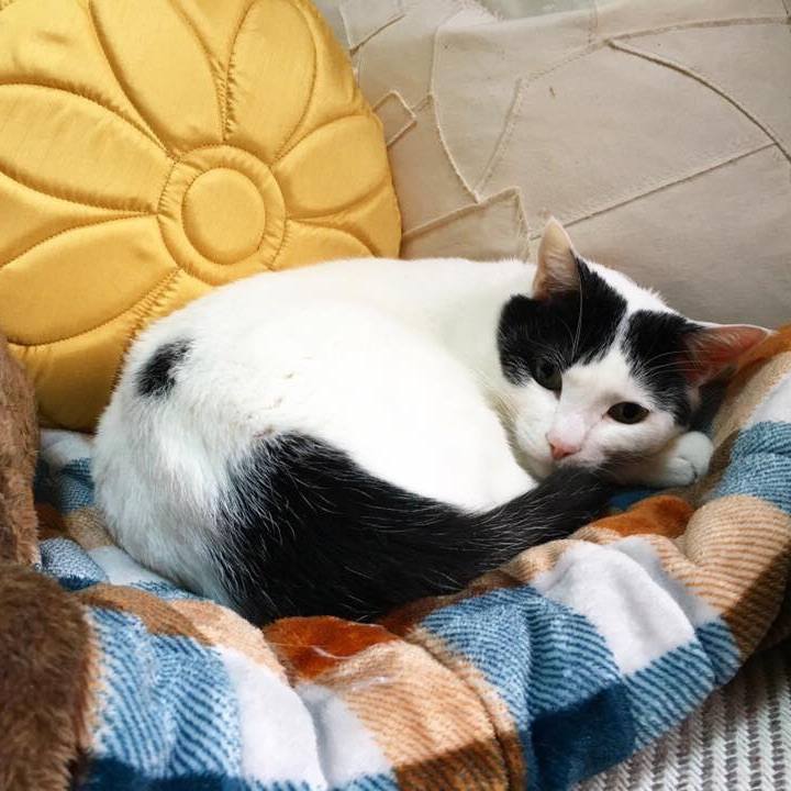 Cb4711d9 25a0 43b7 a0e7 66d693d9996e 1553173049655