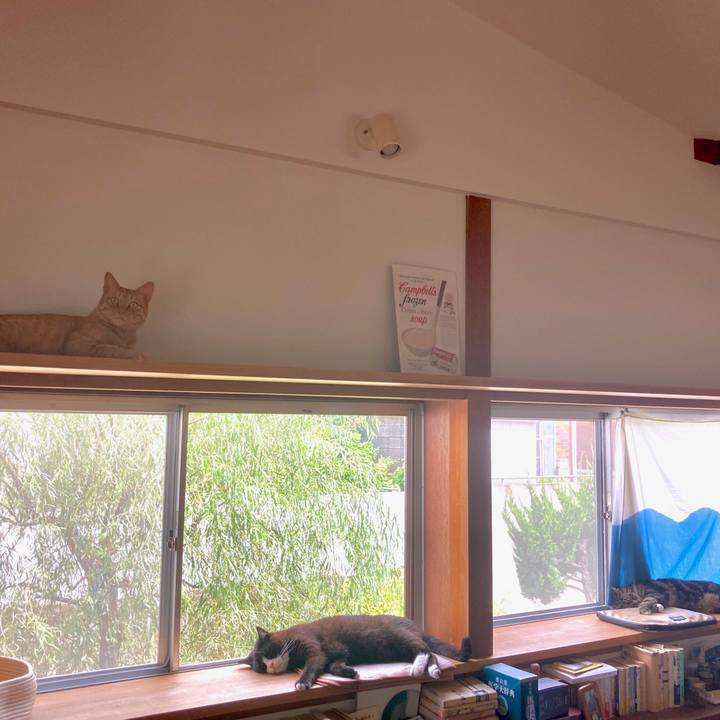 Cb471863 c53b 4d30 aa4e 72ea4999bc7b 1595746846460