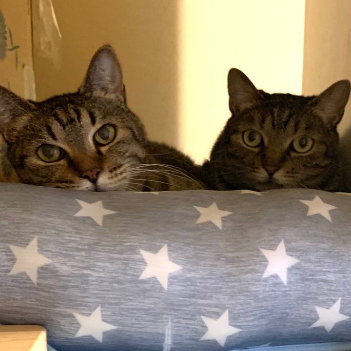 Cb47445c 61ec 46a3 a3f4 25a90a23d6cd 1590733626397