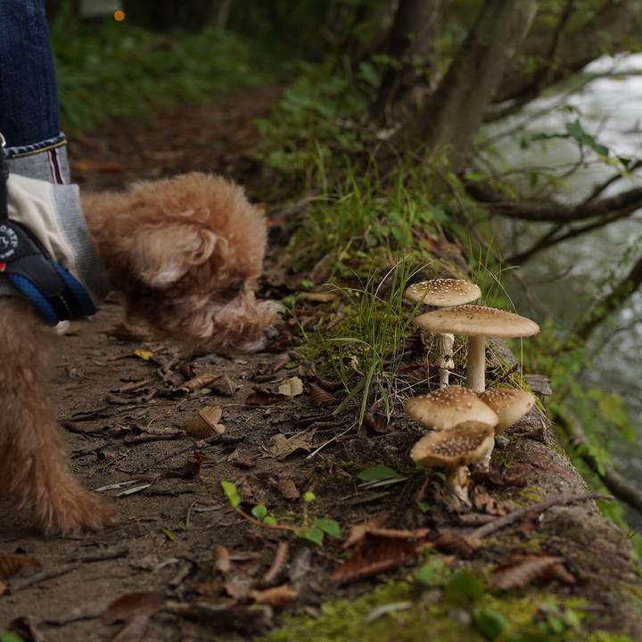 Cb478616 5072 4c3a 96b8 6ad5cf4d43d7 1695008797473