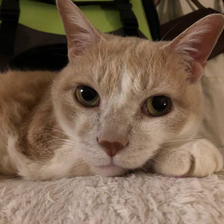 Cb4832d7 1461 4612 9c25 0863f6fe769a 1548069138262