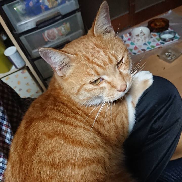 Cb48376e 44f8 4a79 836d 802d02ed1cdd 1605511521936