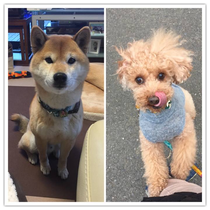 Cb483a42 fa9f 4b1b 865a 5b9ee986e2f3 1519620854436