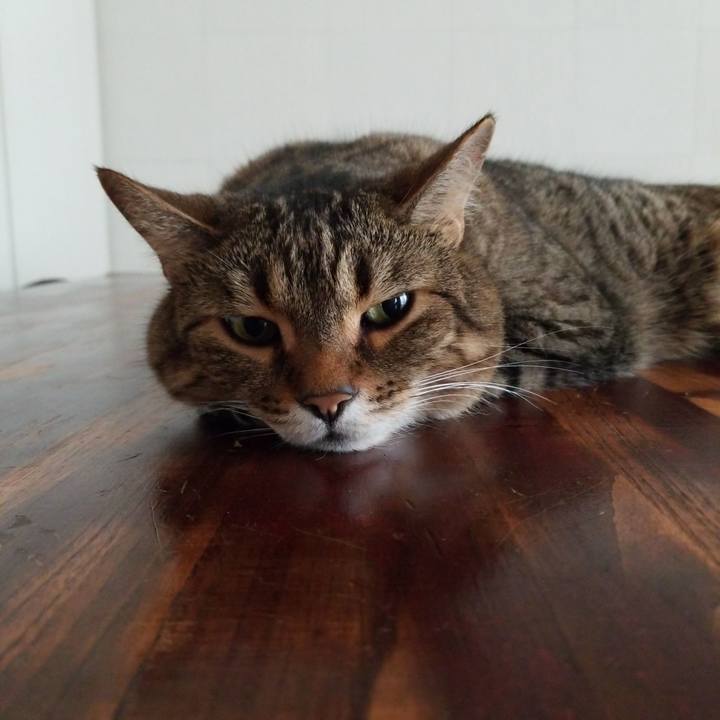 Cb484b74 a675 4d59 874e 9674ad121dca 1595194736925