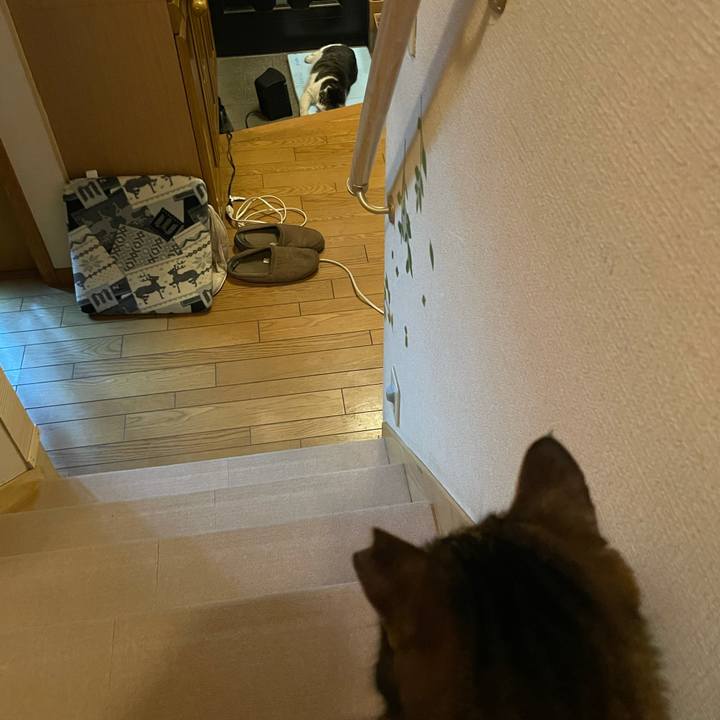 Cb4856b7 ac8d 471f 8b68 0d31257d5a2e 1612785077651