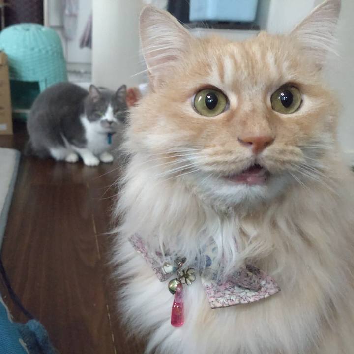 Cb48756e f4d7 48fe a091 991d275ed0f7 1774594173348