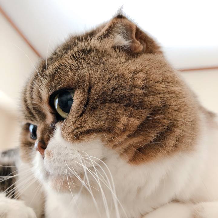 Cb48ae46 08b4 4fae 85c4 a116dc213987 1582523547530