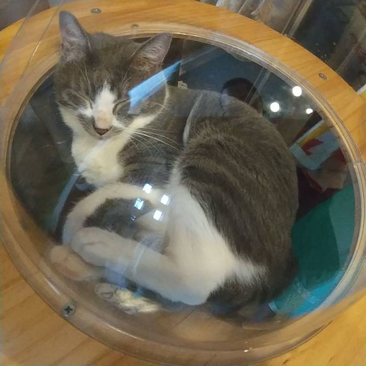 Cb48af17 7e75 4f44 8774 73baec724c8d 1625711270725