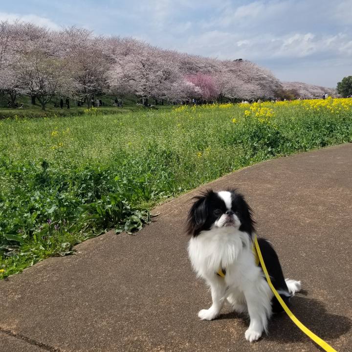 Cb48ce67 0755 4af7 82ca 2fc78d1d5bf5 1648456924919