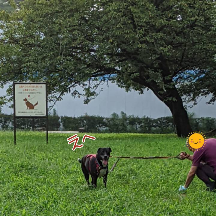 Cb48f96a 5b7b 4693 a041 473fdd50a5cb 1692057664962