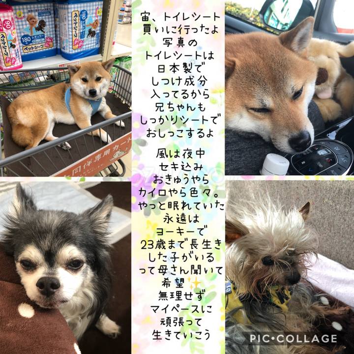 Cb49086e 2c11 4d08 b9fd e161a395f7f1 1552111679429