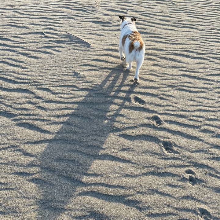 Cb4957f8 b47a 47f4 ab4d da503438e5e9 1616487989628