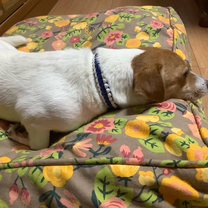 Cb496726 bb20 4667 aa9b 3bdb906a9f6b 1565219822740