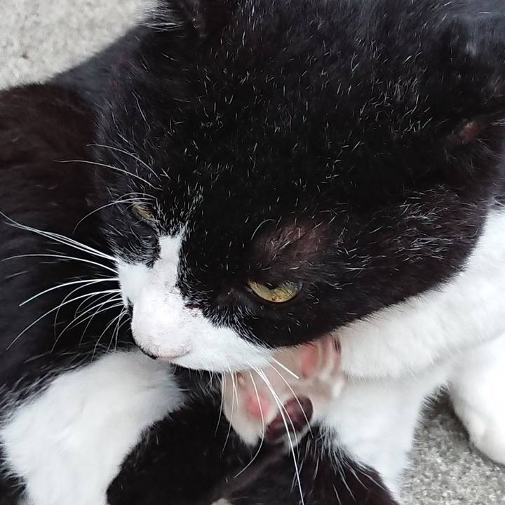 Cb498c46 808a 41a8 949d 3b4a78a56593 1624430210476