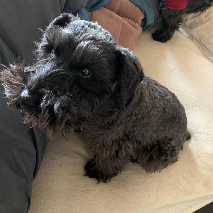 Cb49b3de 11fe 40cf 8dd8 f00bc74c848f 1608428060457