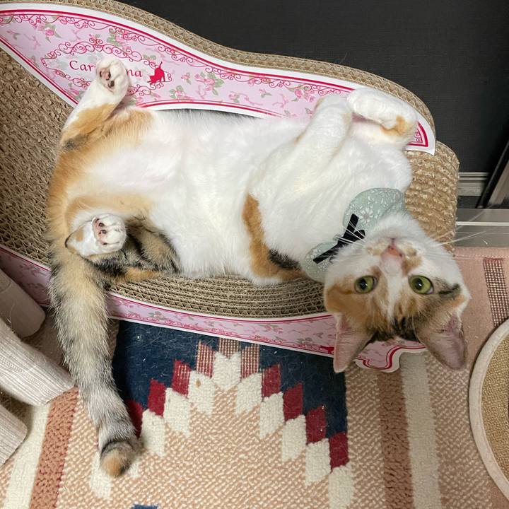 Cb49da00 3259 4658 a26a 35232f6b5c24 1663073820537