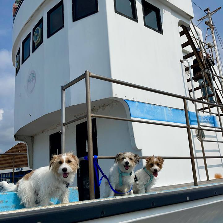 Cb49e2fd 25ab 43c0 abdf 5b262c4bcd7d 1774781427431