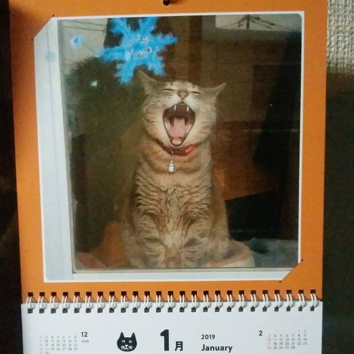 Cb49e61d 3190 41f1 a4bc 0e50e9356c3f 1546340792934