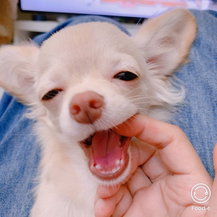 Cb4a0d64 f5c7 4417 bb6e 8e826cfb4283 1599545645553