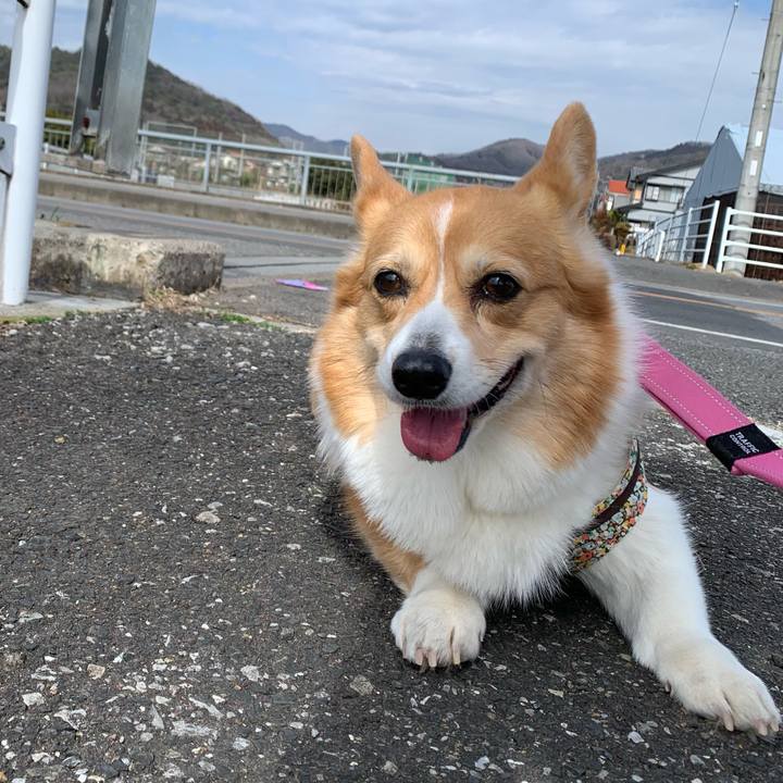 Cb4a1931 eaf1 40c7 8b25 9fe12baf53da 1677126492127