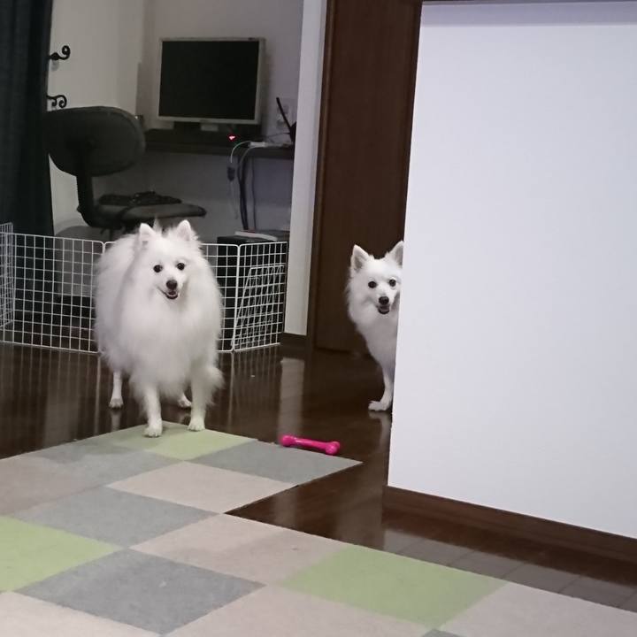 Cb4a80e0 5cd3 44f0 943c 016837b6c4f0 1591172353461