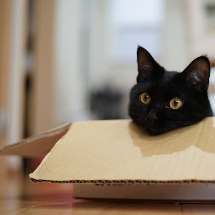 Cb4aa14e c9a1 4506 a98f c4eb7308fa71 1527809828747