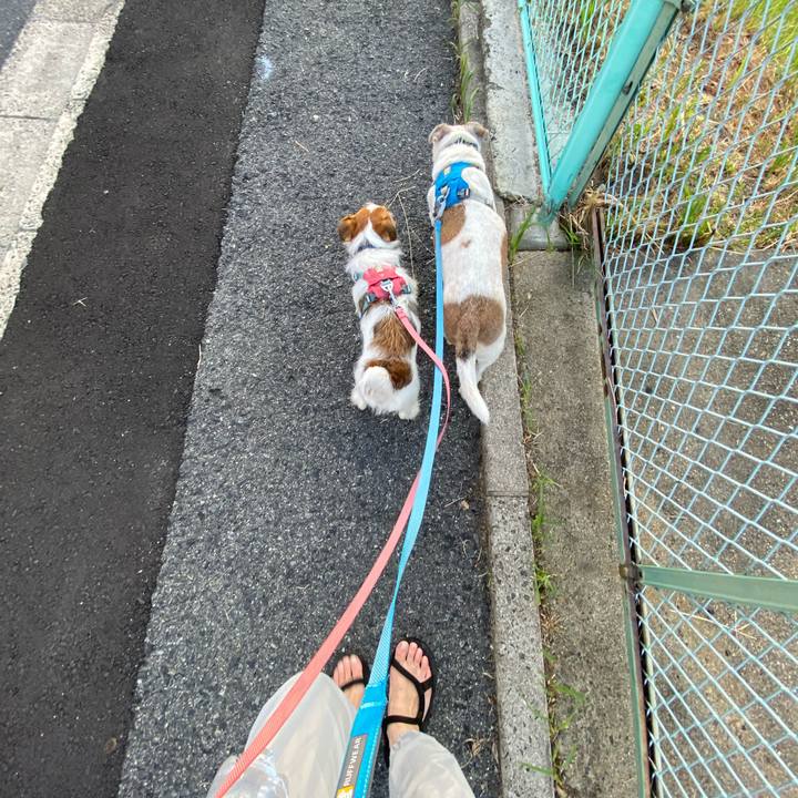 Cb4acb3b 9dd5 4ee0 b7b3 eaee13b8ce08 1694900949496