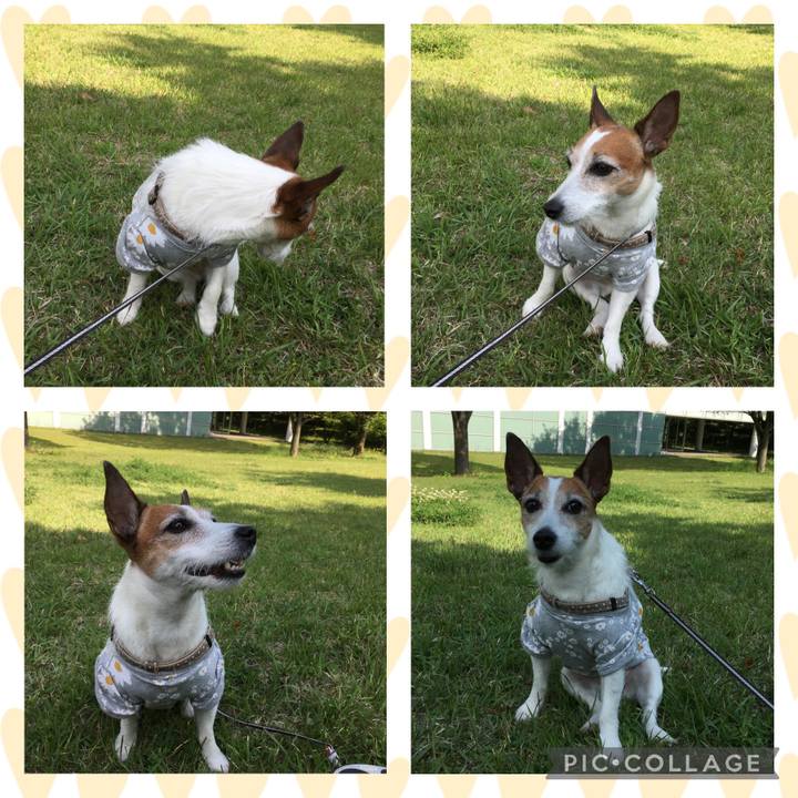 Cb4afb5b 3adb 4b5f 9cae d66039e821bb 1621380174420