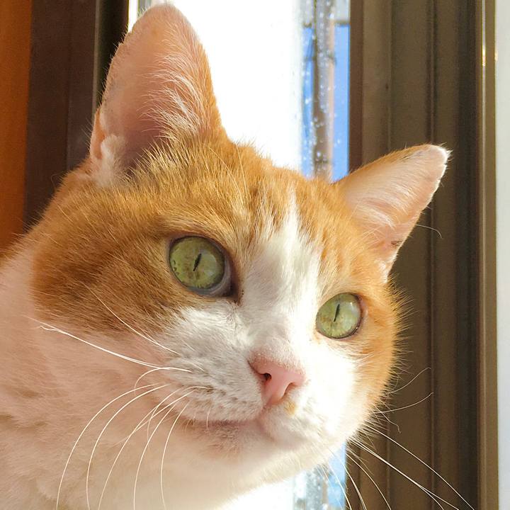 Cb4b8bd0 9086 4fdb 9fdc c3354fbf00bf 1612149447154