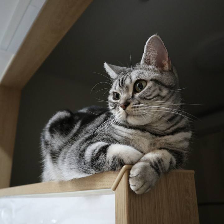 Cb4ba4ff 7b95 40a0 a8a9 9e26fccc20c1 1574761947073