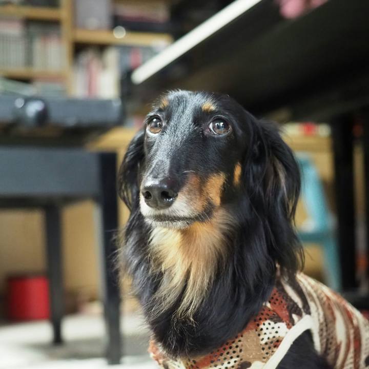 Cb4bc9d8 ff3f 4510 a83e 82b5ff0a2112 1602382766414