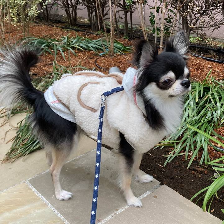 Cb4bf76b 6367 4b70 bc96 f409f9163761 1644734082513