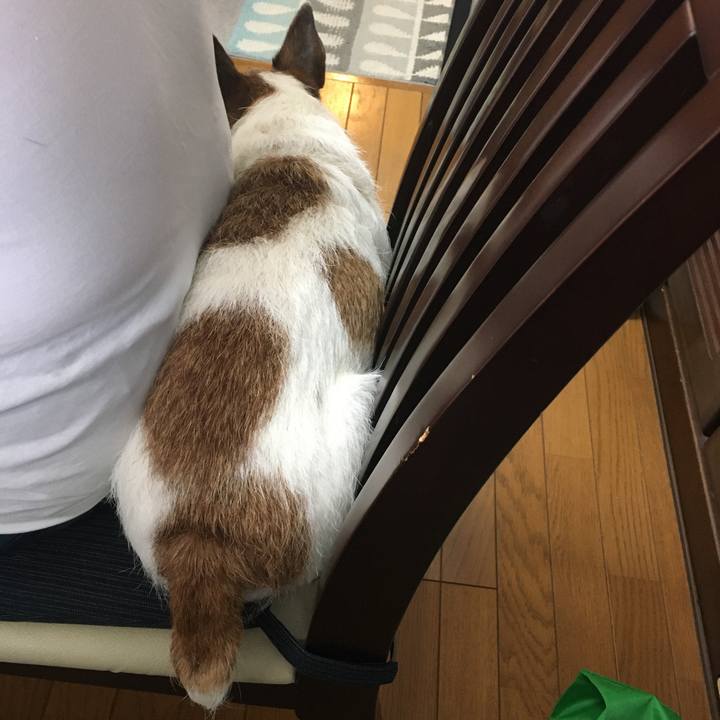 Cb4c07d2 1eae 4952 a266 8548a856bba6 1660778434119