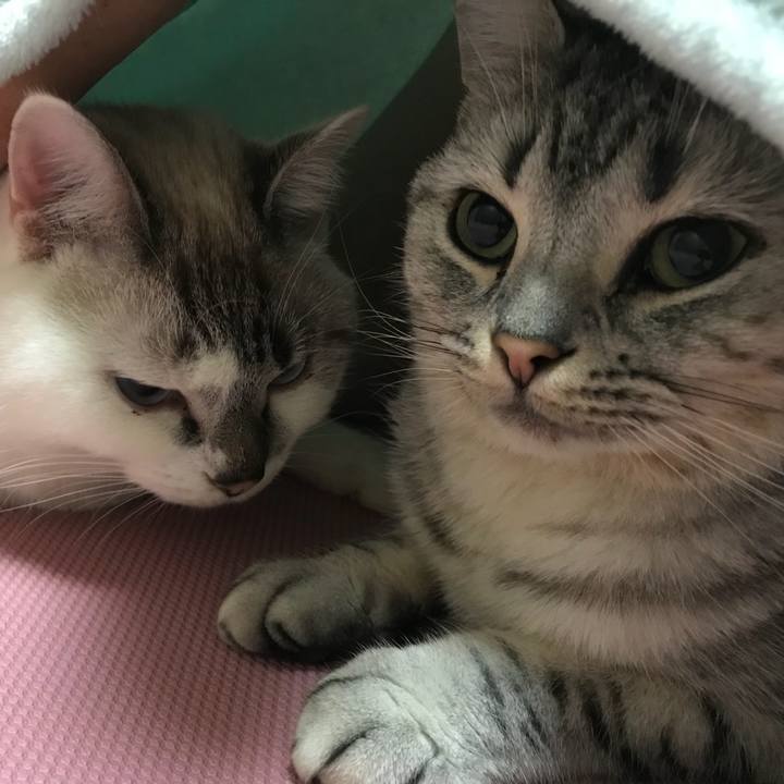 Cb4c1e09 af26 485e af52 65a60383e55d 1511435367912