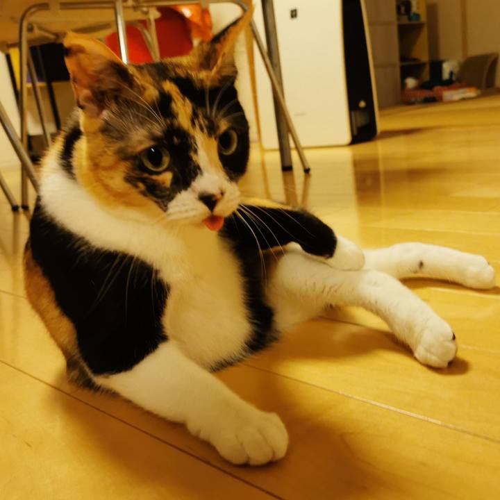 Cb4c740c c7d6 4704 9b4f 099573eb361d 1658725757048